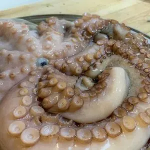 Proveedor premium de pulpo congelado entero y limpiado IQF para...