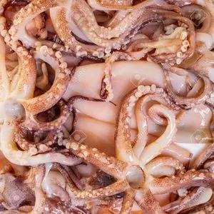 Pulpo congelado de grado de exportación y procesado para el...