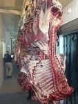 HALVES Beef Bull Young bull Cow  Shank