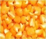 Pipomix - Maíz Mote