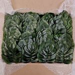 盒子 100 绿色龟背竹叶餐巾戒指 