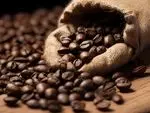 ROBUSTA COFFEE 