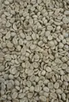 GREEN COFFEE BEANS ROBUSTA 12 CUP