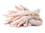 Halal chicken Meat /Frozen / Processed...