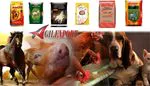 Alimento para Animales Pequeños y...