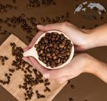 ARABICA AND ROBUSTA COFFEE