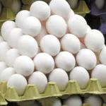 Chicken Egg/Farm Fresh Chicken Table...