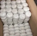 Ajo, ajo fresco, jengibre fresco, ajo...