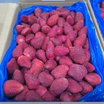 FRESA CONGELADA