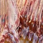 Carne de cordeiro congelada fresca de...