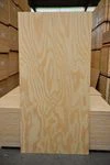 Compensados de Pinus - Pinus Plywood