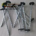 Umbrella head roofing nails (Prego...