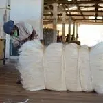 100% Quality Grade A Natural Sisal...