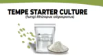 Inóculo para tempeh a base de hongos (...