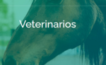 Veterinarios