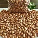 BRAZILIAN RAW RUNNER PEANUT (HALAL)