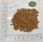 Shelled Almonds