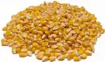 MAÍZ AMARILLO GMO – ALIMENTO ANIMAL –...