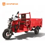 JINPENG E-JB150Z Electric Cargo...