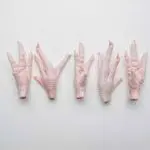  Patas de frango congeladas de qualidade