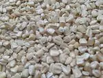 WHITE CORN 