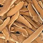 Ganoderma lucidum (Reishi / Lingzhi)