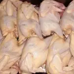 Frozen Whole Chicken