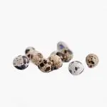 Quail Eggs