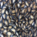 Sementes de melancia – 35% de proteína...