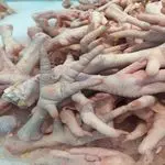 Premium Frozen Chicken Paws Export...