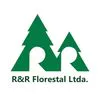 R&R Florestal Ltda