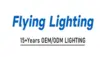 FLYING LIGHTING GROUP(HK) LIMITED