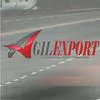 Agilexport Comercial exportadora e importadora
