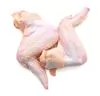 Imagem 1