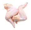 Imagem 1