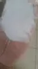 Imagem 4