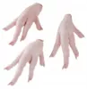 Imagem 4
