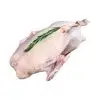 Imagem 4