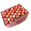 Imagem 4