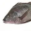 Imagem 4