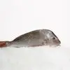 Imagem 4