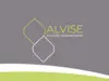 Alvise Soluções Internacionais 